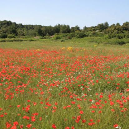 Voyage en Croatie du Groupe de Michel