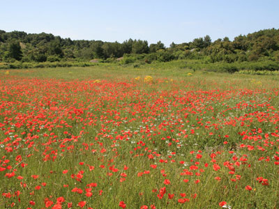 Voyage en Croatie du Groupe de Michel