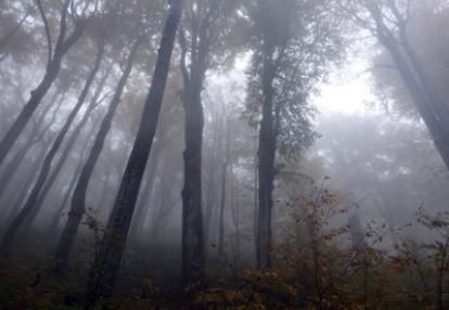 Voyage en Croatie de la Famille de Pierre