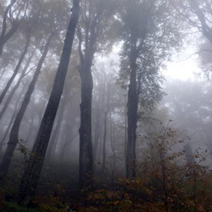 Voyage en Croatie de la Famille de Pierre