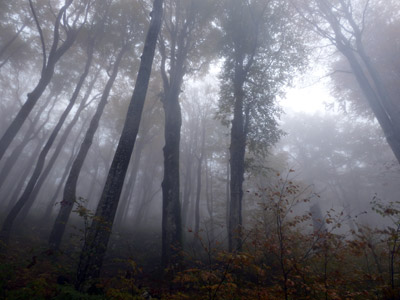 Voyage en Croatie de la Famille de Pierre