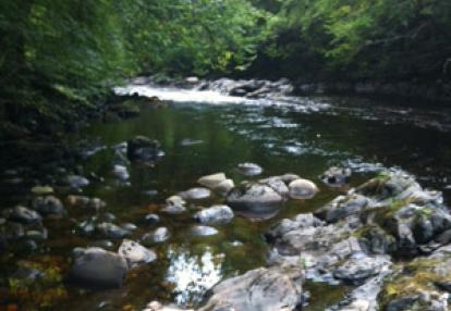 Voyage en Ecosse de Thierrry et Sabine