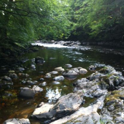 Voyage en Ecosse de Thierrry et Sabine