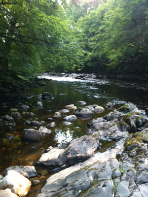 Voyage en Ecosse de Thierrry et Sabine