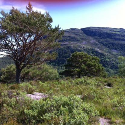 Voyage en Ecosse de Thierrry et Sabine