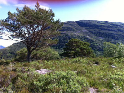 Voyage en Ecosse de Thierrry et Sabine