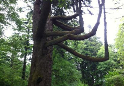 Voyage en Ecosse de Thierrry et Sabine