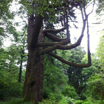 Voyage en Ecosse de Thierrry et Sabine