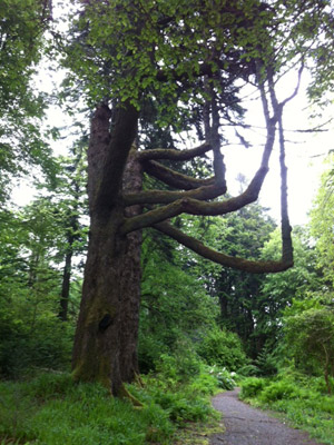 Voyage en Ecosse de Thierrry et Sabine