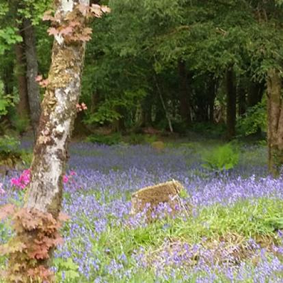 Voyage en Ecosse de Françoise