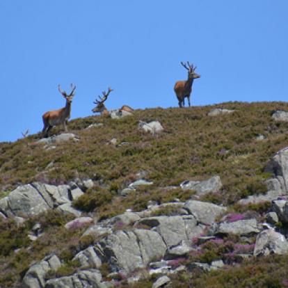 Voyage en Ecosse de Charly