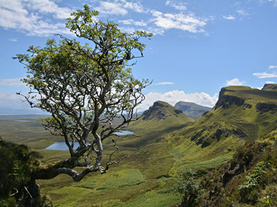 Voyage en Ecosse de Charly