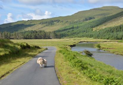 Voyage en Ecosse de Charly