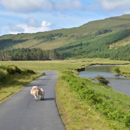 Voyage en Ecosse de Charly