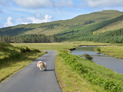 Voyage en Ecosse de Charly