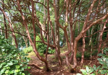 Voyage en Ecosse de Charly