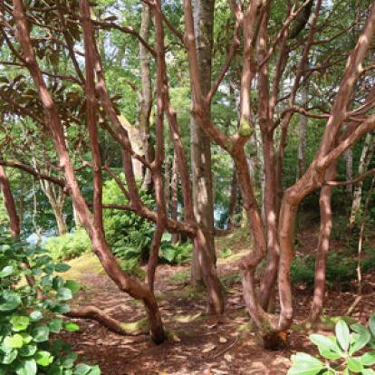 Voyage en Ecosse de Charly