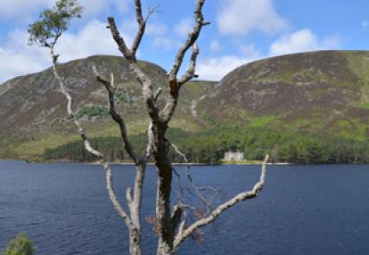 Voyage en Ecosse de Charly