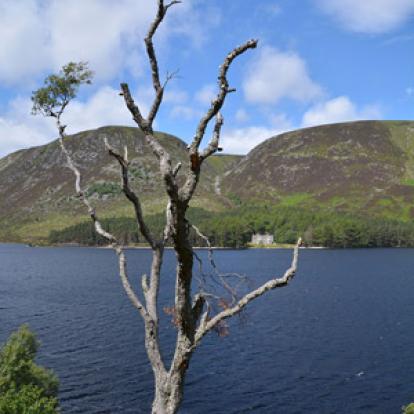 Voyage en Ecosse de Charly