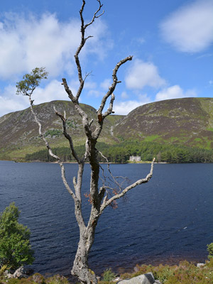 Voyage en Ecosse de Charly