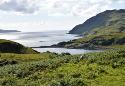 Voyage en Ecosse d'Annie, Emy et André