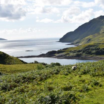 Voyage en Ecosse d'Annie, Emy et André
