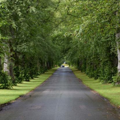 Voyage en Ecosse d'Annie, Emy et André