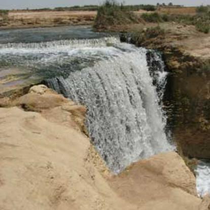 ©Gabrielle P. - Tous Droits réservés