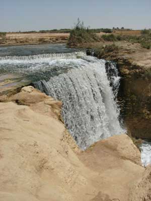 ©Gabrielle P. - Tous Droits réservés