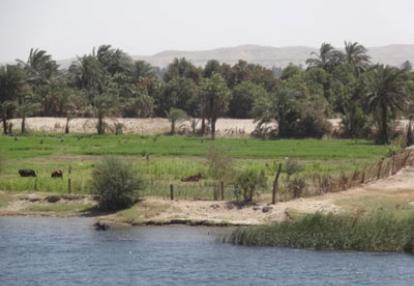 Le Voyage en Egypte de Dominique et Alain