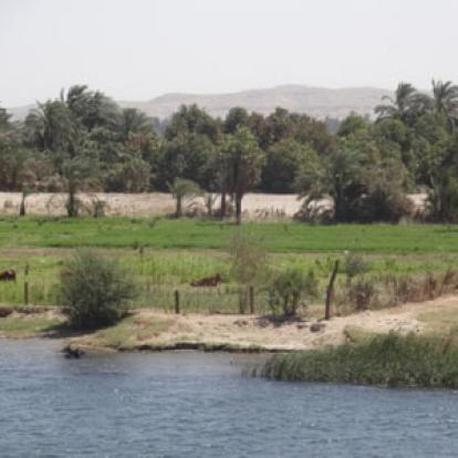 Le Voyage en Egypte de Dominique et Alain