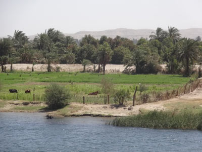 Le Voyage en Egypte de Dominique et Alain