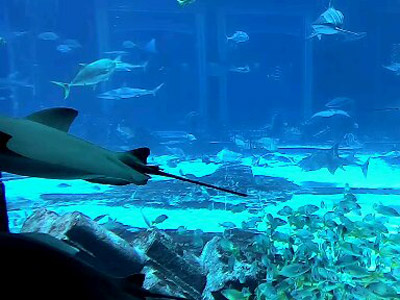 Voyage aux Emirats Arabes Unis de Pierre