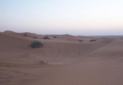 ©Yolande M. - Tous Droits réservés Voyage aux Emirats et à Oman de Michel