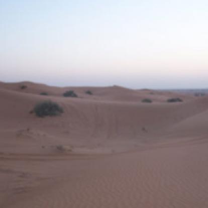 ©Yolande M. - Tous Droits Réservés Voyage aux Emirats et à Oman de Michel