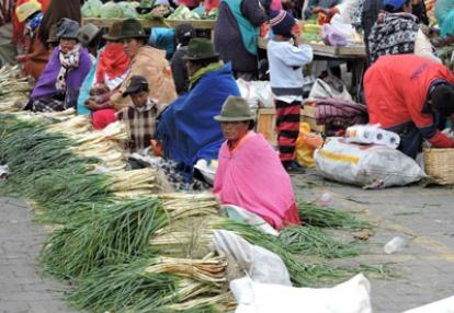 Voyage en Equateur de Catherine et Bruno