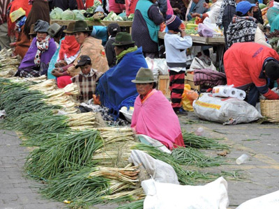 ©Catherine et Bruno P. - Tous Droits réservés Voyage en Equateur de Catherine et Bruno