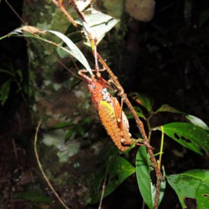 ©Catherine Et Bruno P. - Tous Droits Réservés Voyage en Equateur de Catherine et Bruno