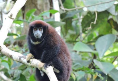 Voyage en Equateur de Catherine et Bruno