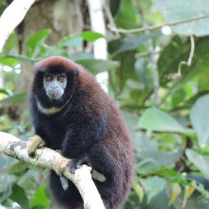 ©Catherine Et Bruno P. - Tous Droits Réservés Voyage en Equateur de Catherine et Bruno