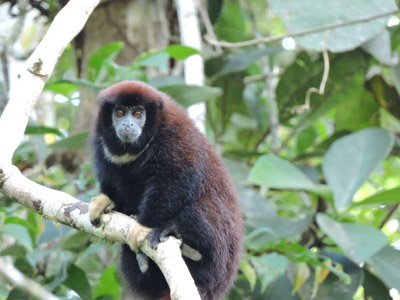 ©Catherine et Bruno P. - Tous Droits réservés Voyage en Equateur de Catherine et Bruno