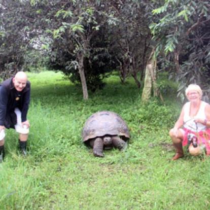 ©Béatrice R.- Tous Droits Réservés Voyage aux Galapagos de Béatrice