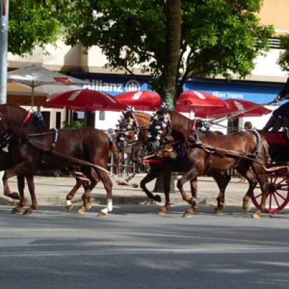 Le Voyage en Espagne d'André