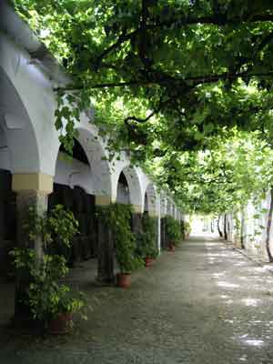 Le Voyage en Espagne de Jeanine