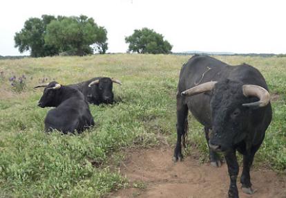 Voyage en Espagne de Jean-Pierre