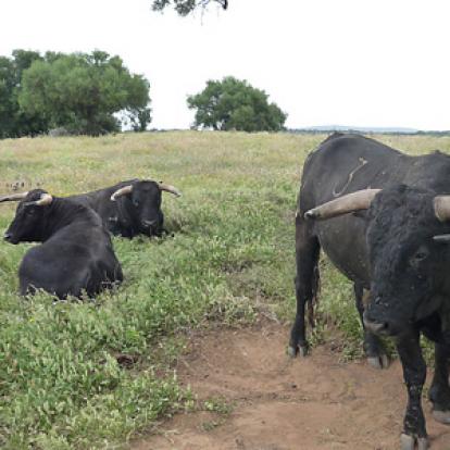 Voyage en Espagne de Jean-Pierre