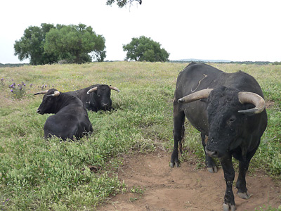 Voyage en Espagne de Jean-Pierre