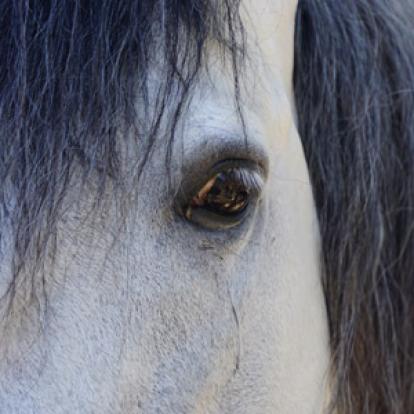 Voyage en Espagne de Claudette et Pierre
