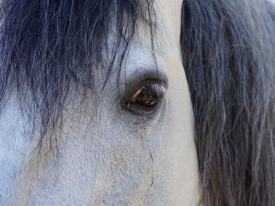 Voyage en Espagne de Claudette et Pierre