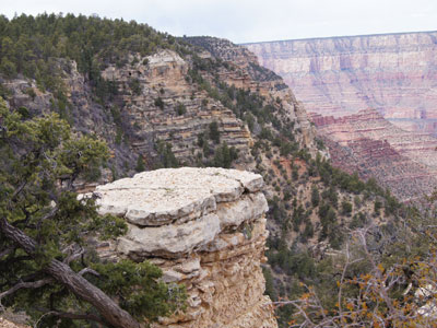 Voyage aux Etats-Unis de Jean-Claude